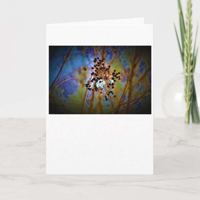 Winter, card (Front)