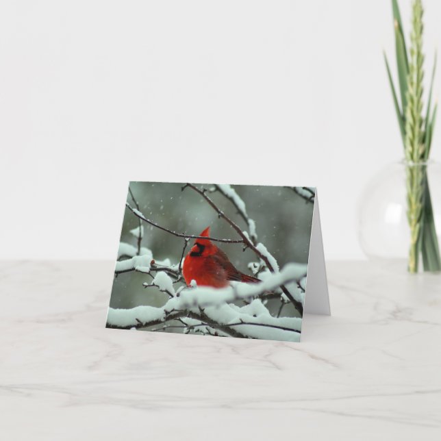 Winter  Cardinal - Customized Card (Front)