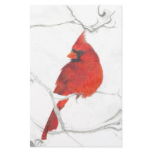 Winter Cardinal Drawing
