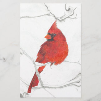 Winter Cardinal Drawing Stationery