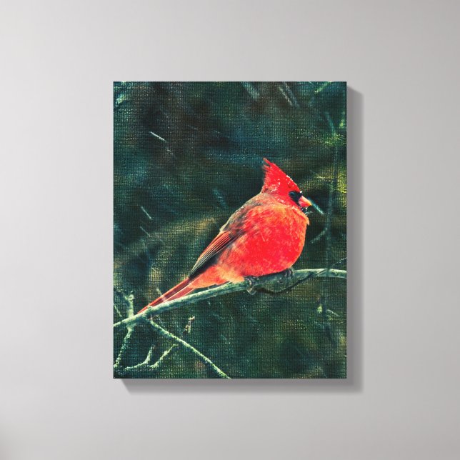 Winter Cardinal in Snowstorm - Enhanced Canvas Print (Front)