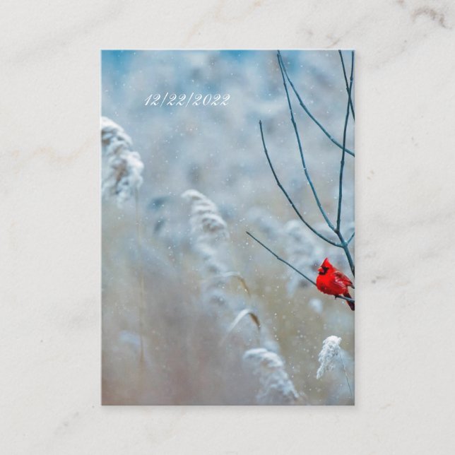 Winter Cardinal RSVP Postcard (Front)