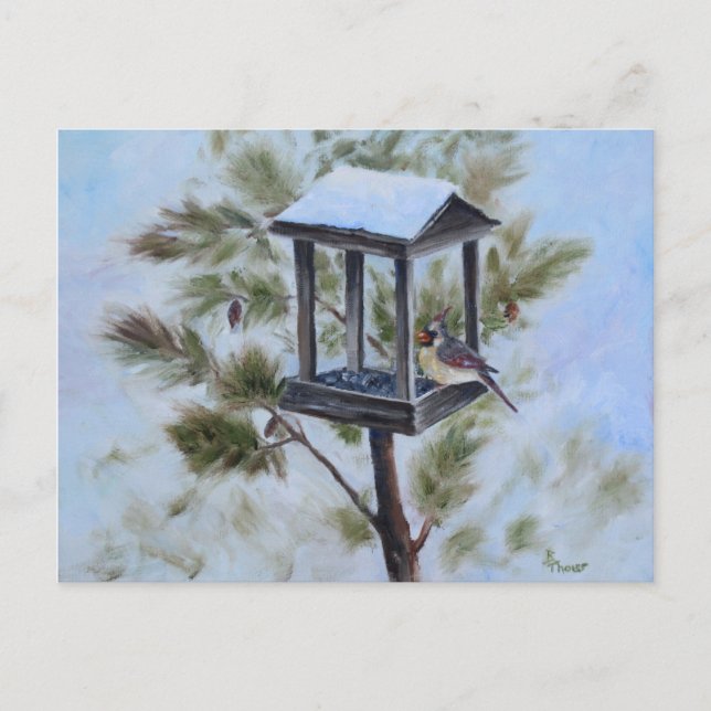 Winter Cardinal Visitor Postcard (Front)
