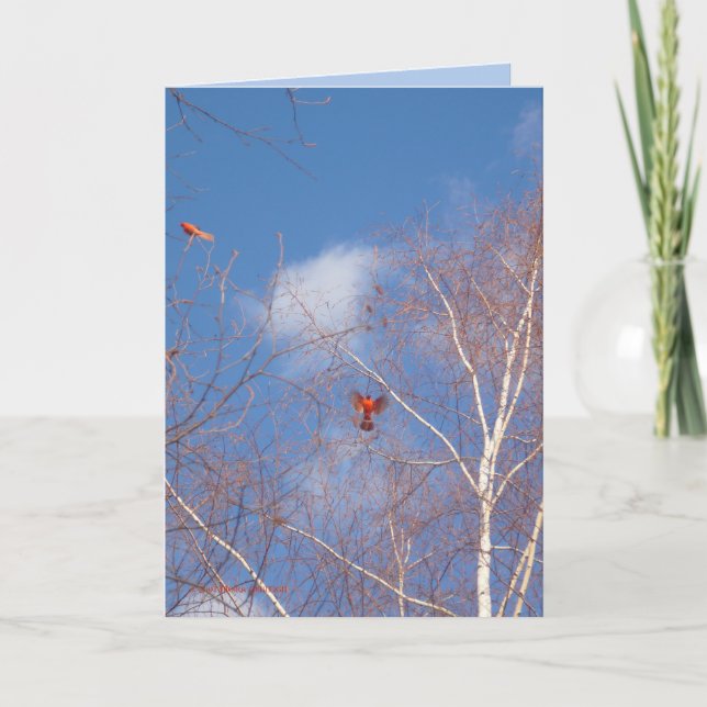 Winter Cardinals Card (Front)
