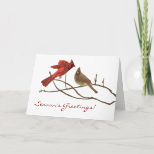 Winter Cardinals Christmas Holiday Card