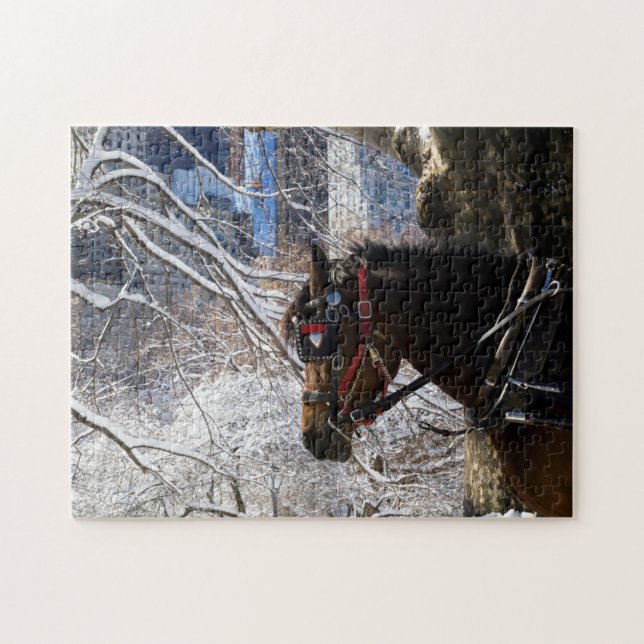 Winter Carriage Horse Jigsaw Puzzle (Horizontal)