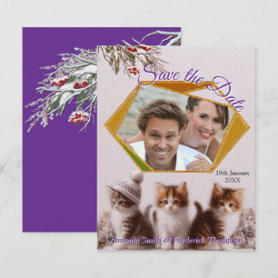 Winter Celebrations in the Snow, with Kittens Announcement