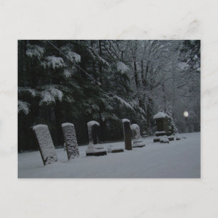Winter Cemetery with Orb Postcard