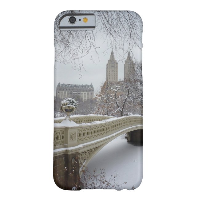 Winter - Central Park - New York City Case-Mate iPhone Case (Back)