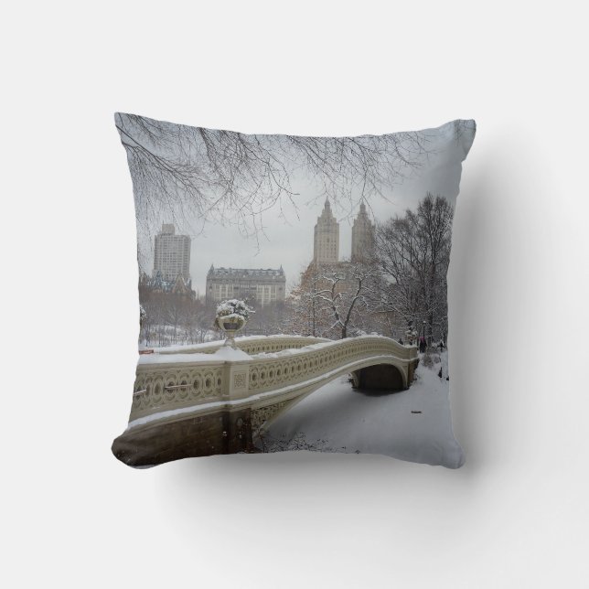 Winter - Central Park - New York City Throw Pillow (Front)