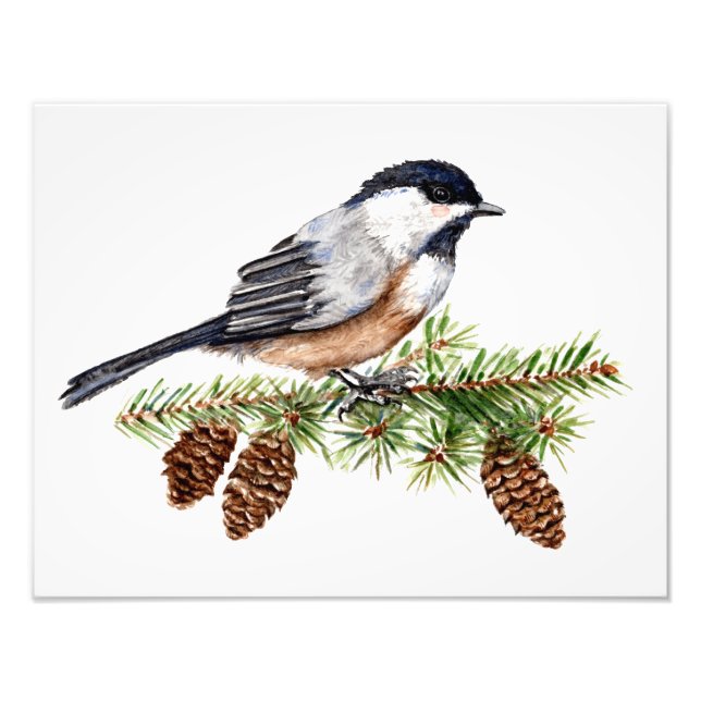 Winter Chickadee Photo Print (Front)