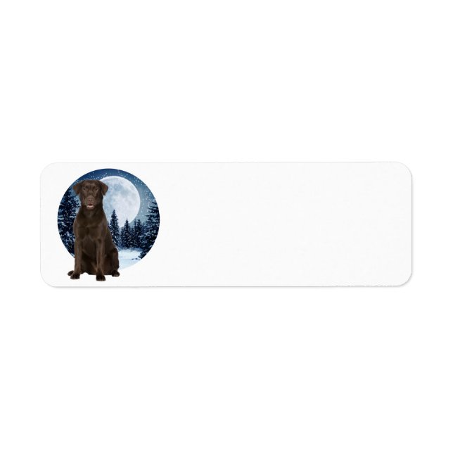 Winter Choco Lab (Front)