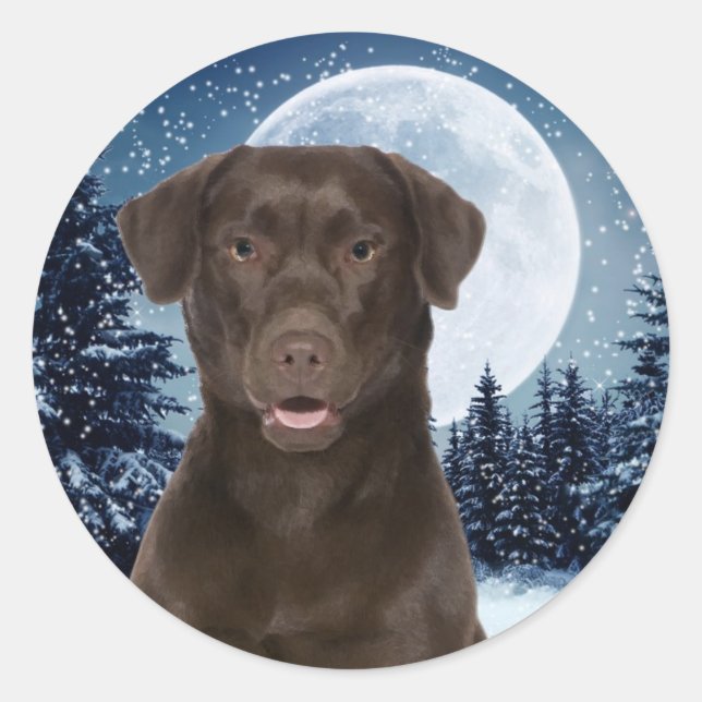 Winter Chocolate Lab Sicker Classic Round Sticker (Front)