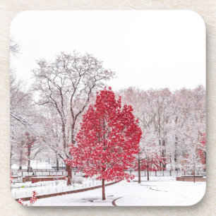 winter christmas 89 coaster