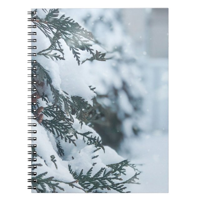 winter christmas 95 notebook (Front)