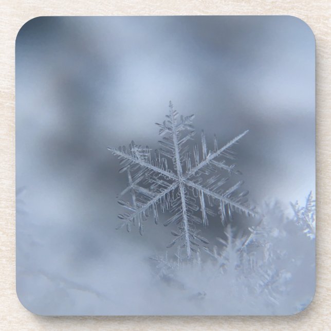 winter christmas 97 coaster (Front)