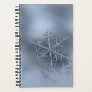 winter christmas 97 planner