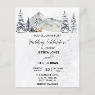 Winter Christmas Snow Landscape Budget Flyer
