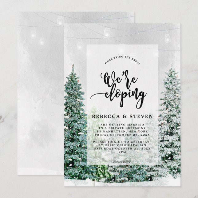 winter christmas tying the knot eloping invitation (Front/Back)