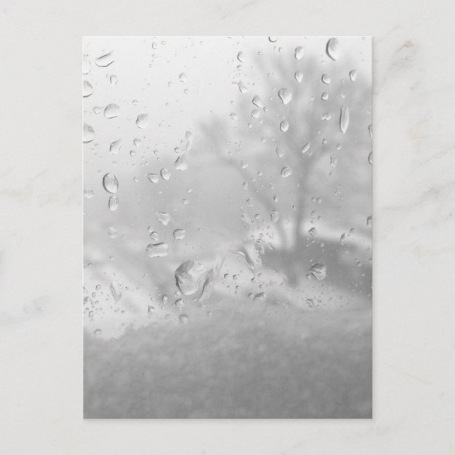 winter city window postcard (Front)