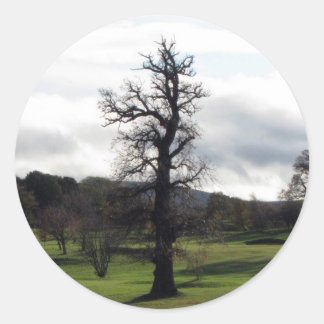 Winter Classic Round Sticker