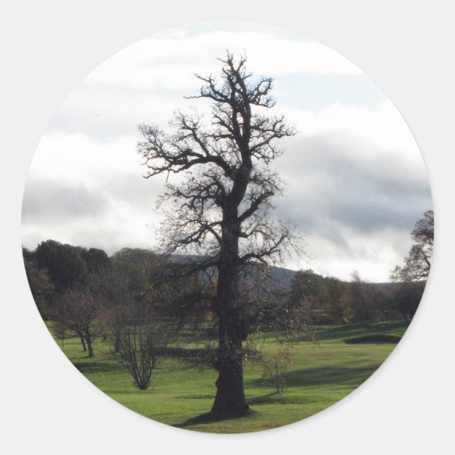 Winter Classic Round Sticker (Front)