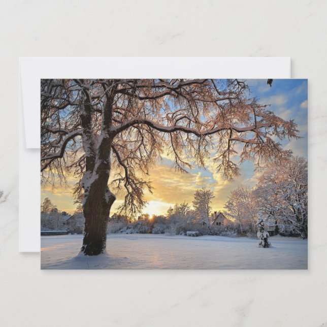 Winter Countryside In Latvia (Front)