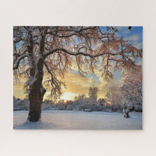 Winter Countryside In Latvia Jigsaw Puzzle