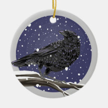 Winter Crow