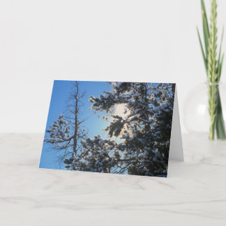 Winter Crystal Snow Holiday Card