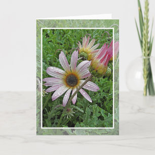 Winter Daisy Birthday Card