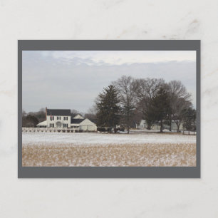 Winter Day Photo Postcard