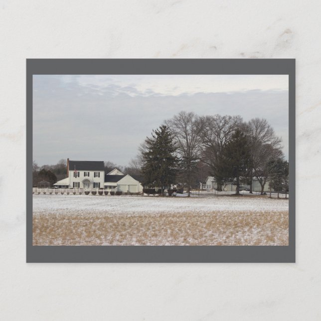 Winter Day Photo Postcard (Front)