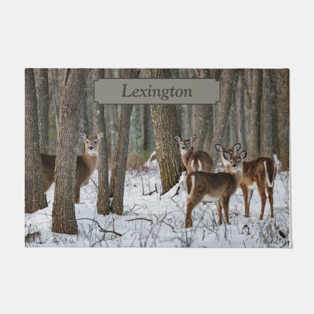 Winter Deer Doormat (Front)