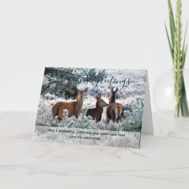 Winter Deer Snow Christmas Photo Personalized Holiday Card (Front)
