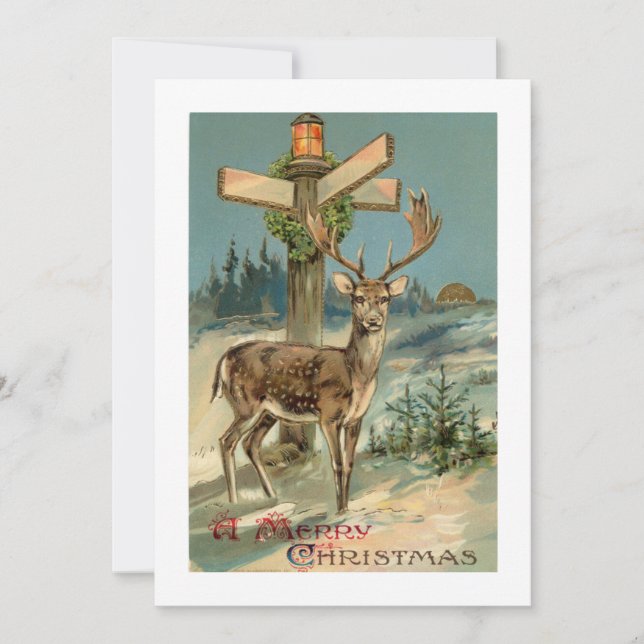 Winter deer vintage illustration Christmas card  (Front)