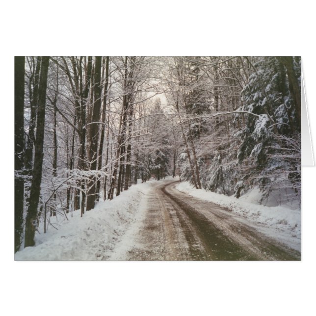 Winter dirt road (Front Horizontal)