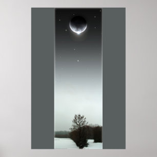 Winter Eclipse III Poster