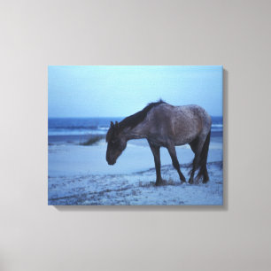 Winter Equine Solitude Canvas Print