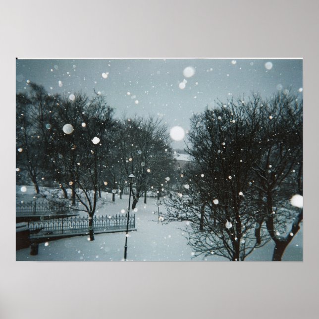 Winter Flakes Poster (Front)