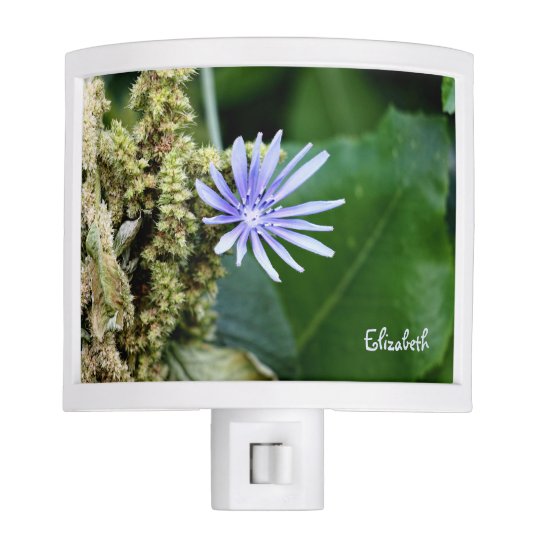 Winter Flowers In Tiberias, Israel Night Light