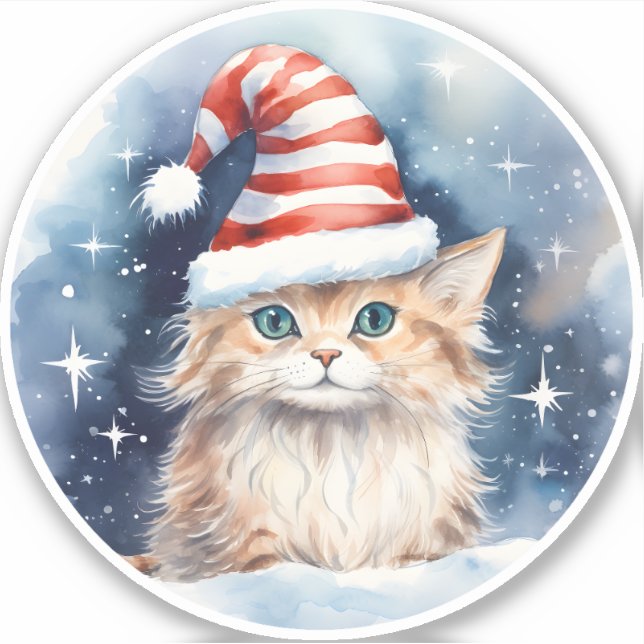 Winter Fluffy Cat in Red & White Stripe Santa Hat (Front)