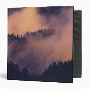 Winter fog in valley at sunset from Morton Binder