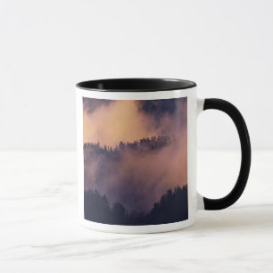 Winter fog in valley at sunset from Morton Mug