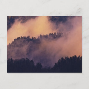 Winter fog in valley at sunset from Morton Postcard