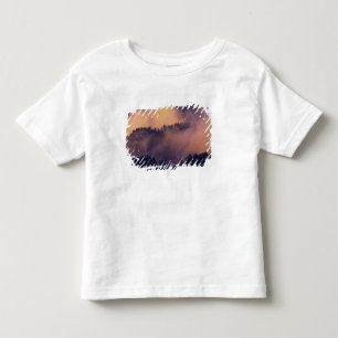 Winter fog in valley at sunset from Morton Toddler T-shirt