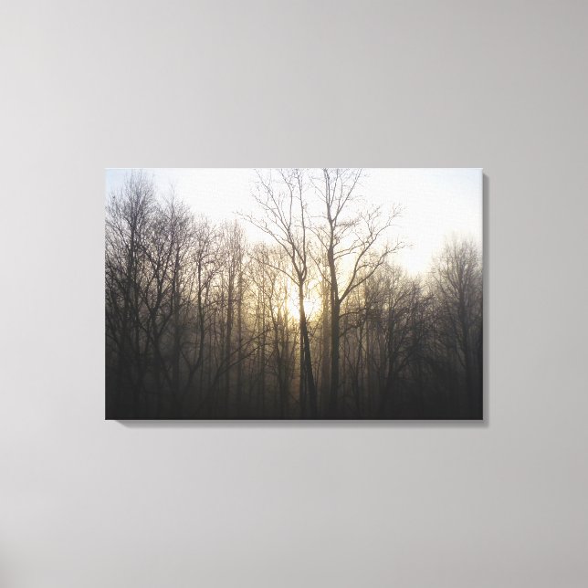 Winter Fog Sunrise Nature Photography Canvas Print (Front)