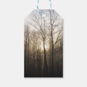 Winter Fog Sunrise Nature Photography Gift Tags