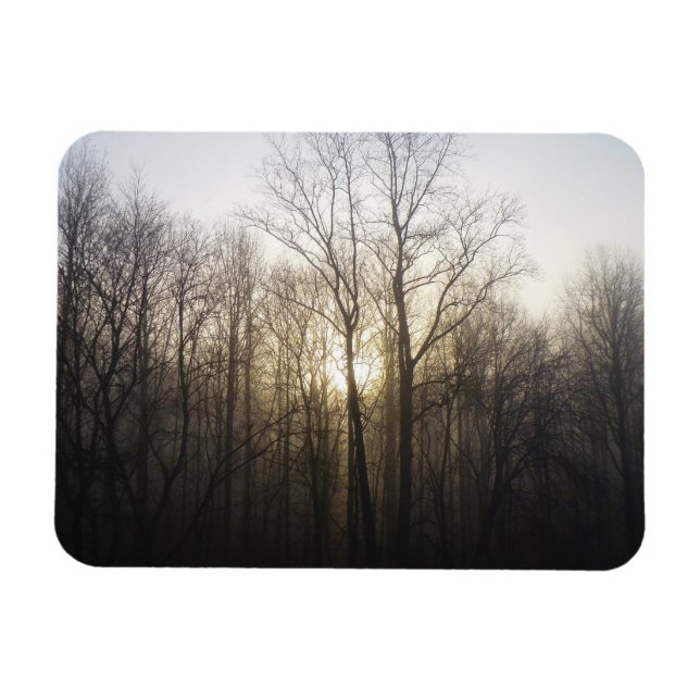 Winter Fog Sunrise Nature Photography Magnet (Horizontal)