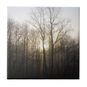 Winter Fog Sunrise Nature Photography Tile